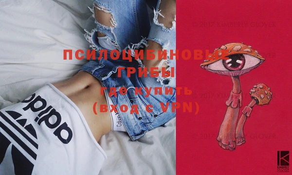 хмурый Осташков